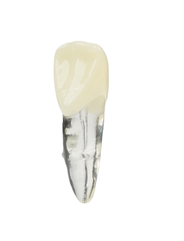 Endodonti