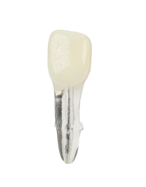 Endodonti