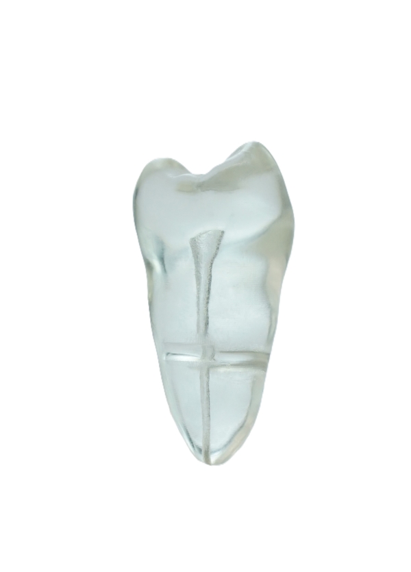 EndoPrep® 15 Numara Şeffaf Diş