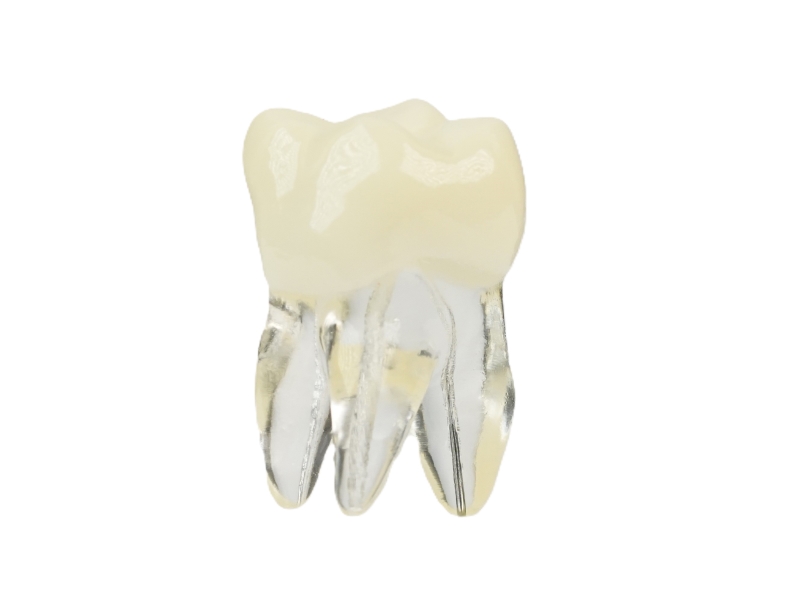 Endodonti
