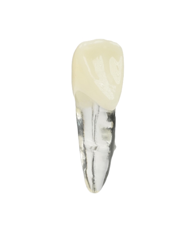 Endodonti