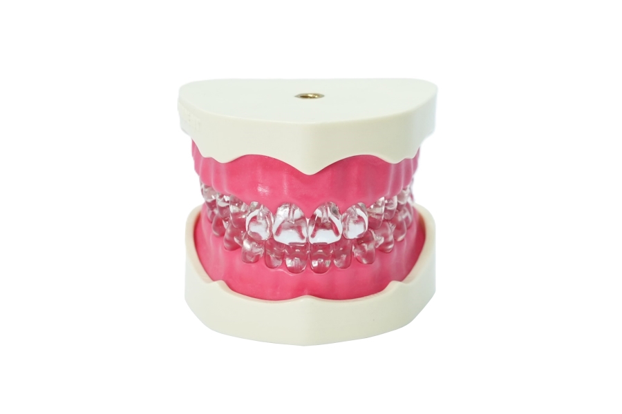 EndoPrep® Alt ve Üst Çene