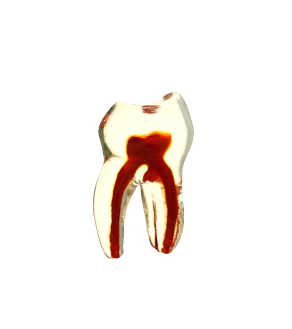 PedoPrep® 54 Numara Şeffaf Diş