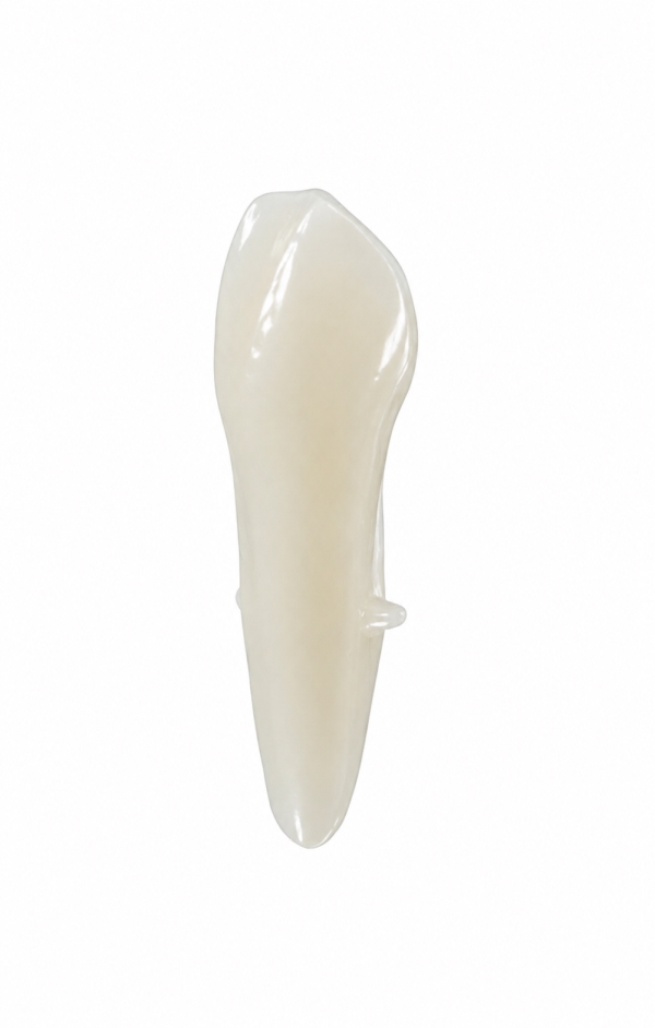 EndoPrep® 13 Numara Opak Diş