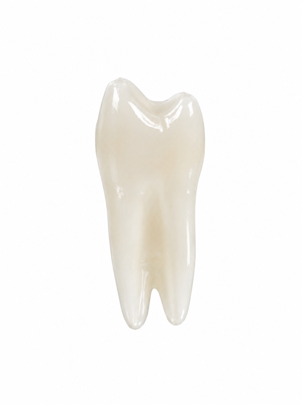 EndoPrep® 14 Numara Opak Diş