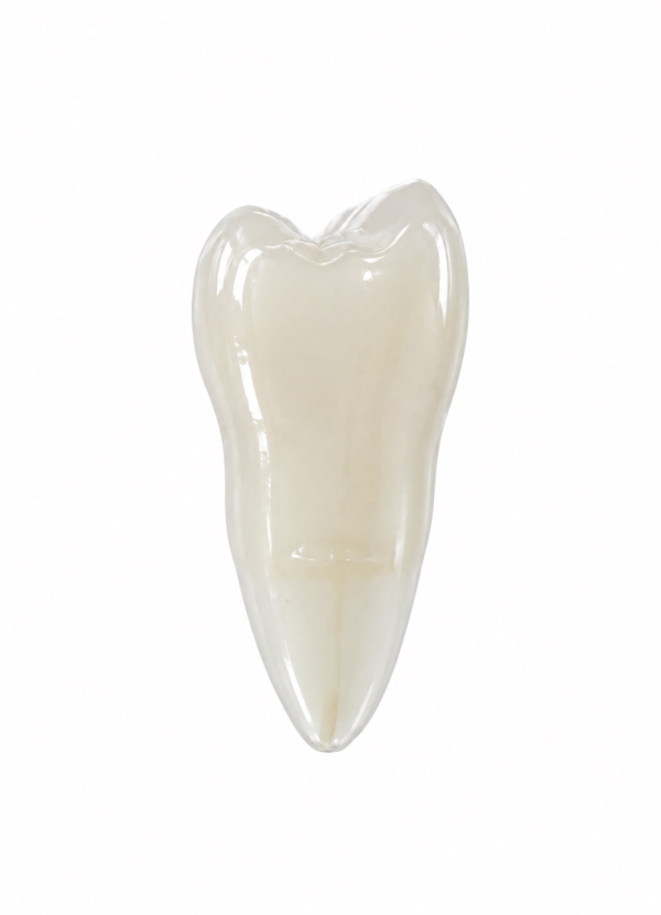 EndoPrep® 15 Numara Opak Diş