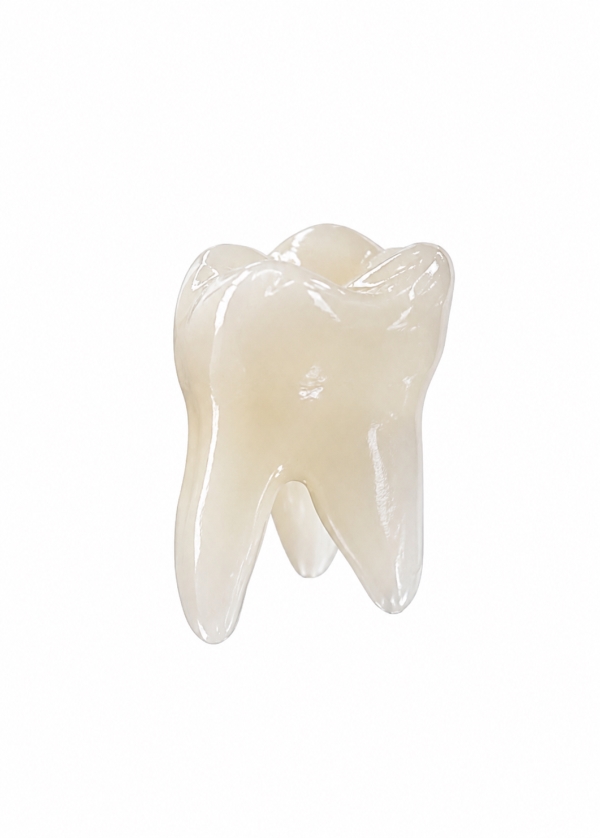 EndoPrep® 17 Numara Opak Diş