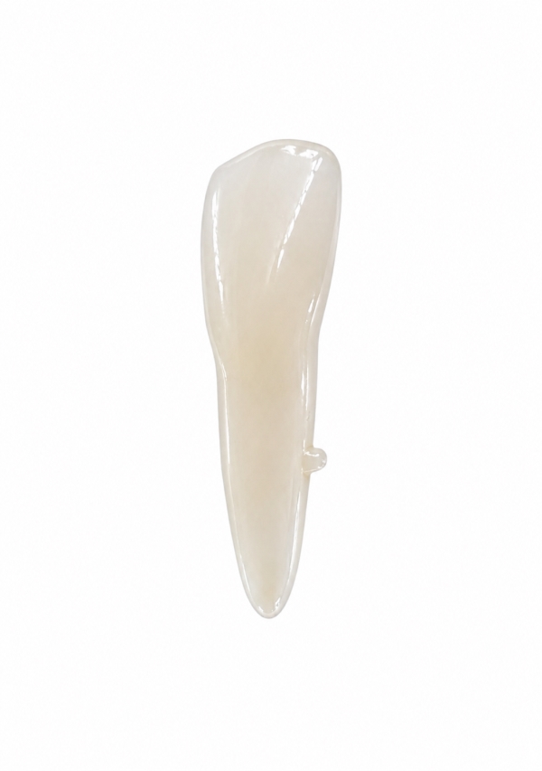 EndoPrep® 42 Numara Opak Diş