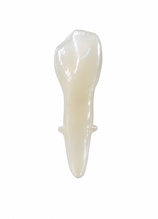 EndoPrep® 43 Numara Opak Diş
