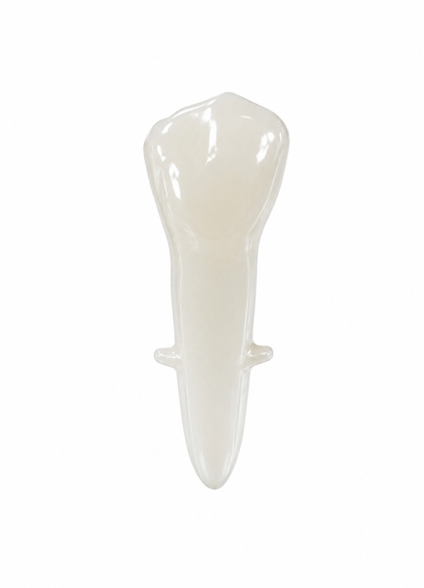 EndoPrep® 44 Numara Opak Diş