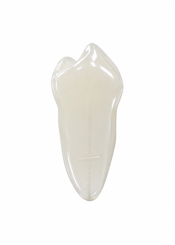 EndoPrep® 45 Numara Opak Diş