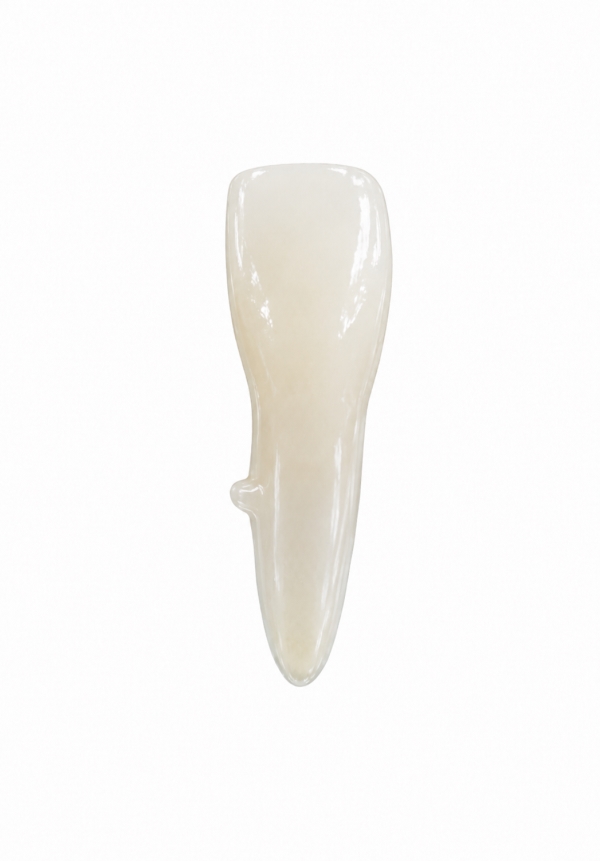 EndoPrep® 31 Numara Opak Diş