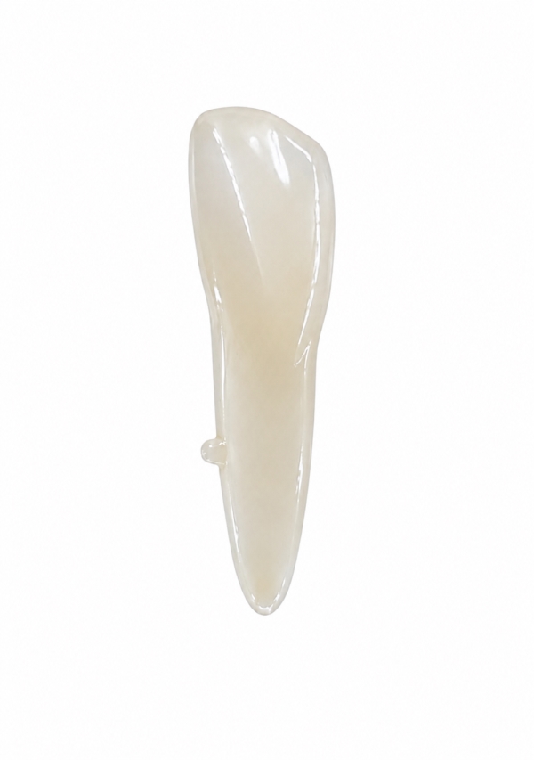 EndoPrep® 32 Numara Opak Diş