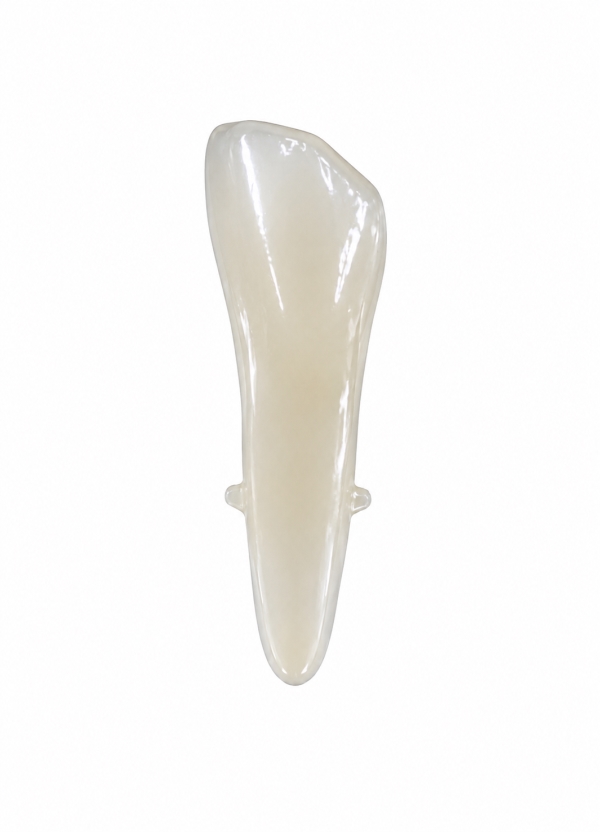 EndoPrep® 33 Numara Opak Diş