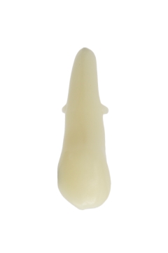 RestoPrep® 13 Numara Diş