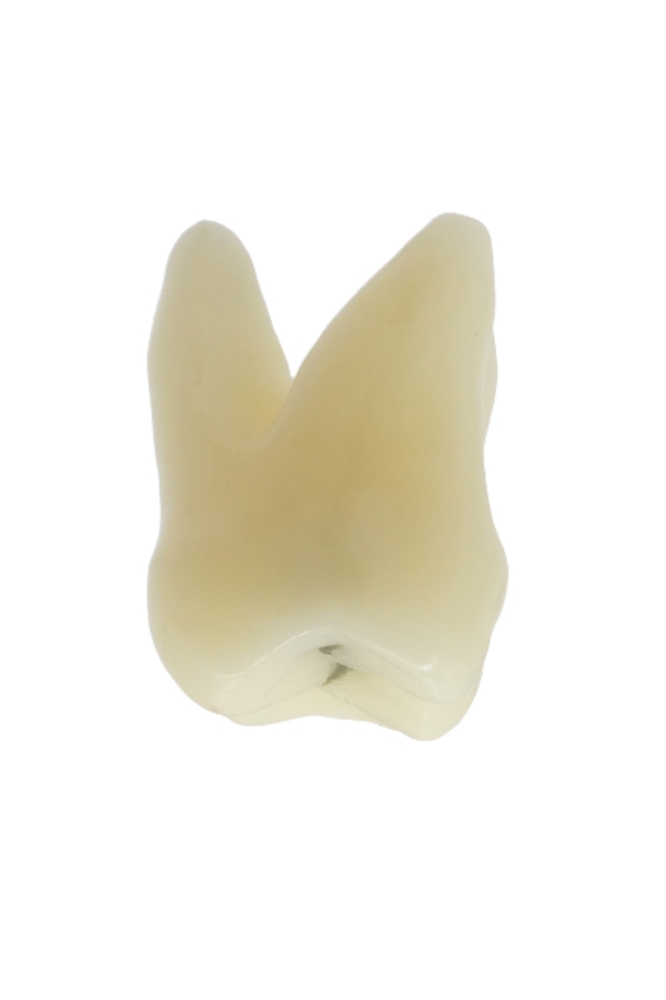 RestoPrep® 27 Numara Diş
