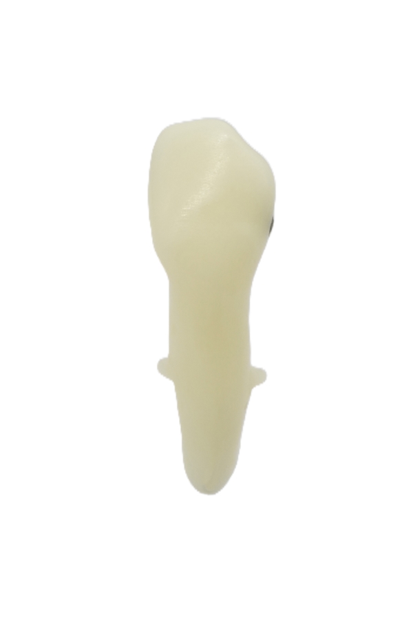 RestoPrep® 33 Numara Diş