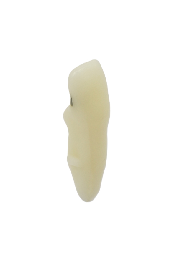RestoPrep® 41 Numara Diş