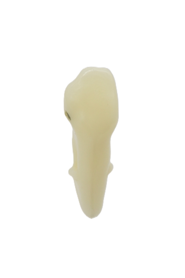 RestoPrep® 43 Numara Diş