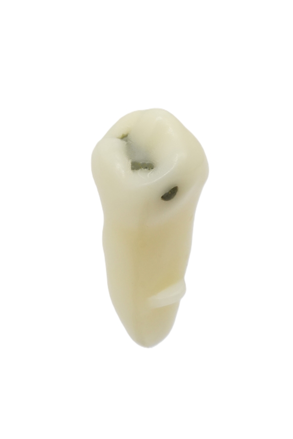 RestoPrep® 45 Numara Diş