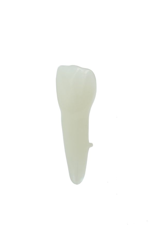 EndoPrep® 11 Numara Opak Diş