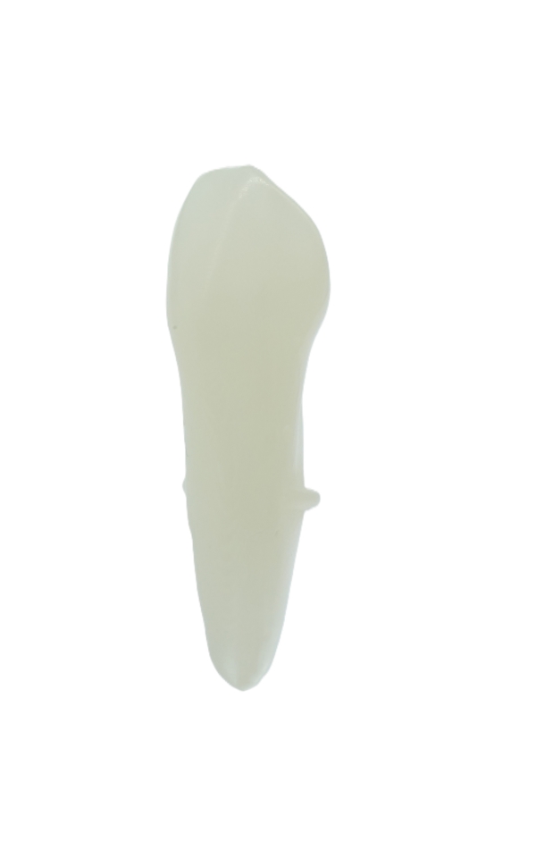 EndoPrep® 13 Numara Opak Diş