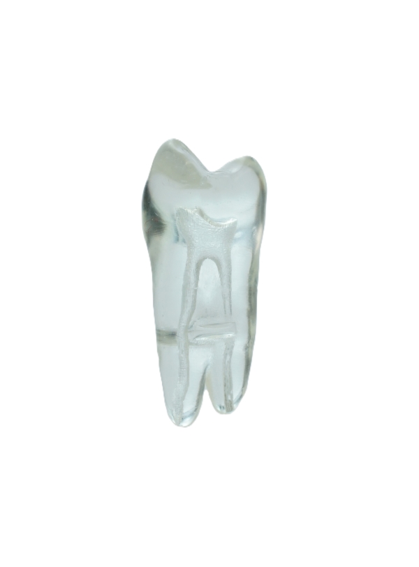 EndoPrep® 14 Numara Şeffaf Diş