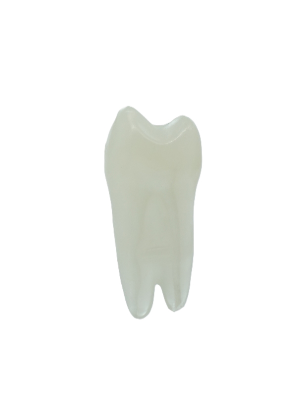 EndoPrep® 14 Numara Opak Diş
