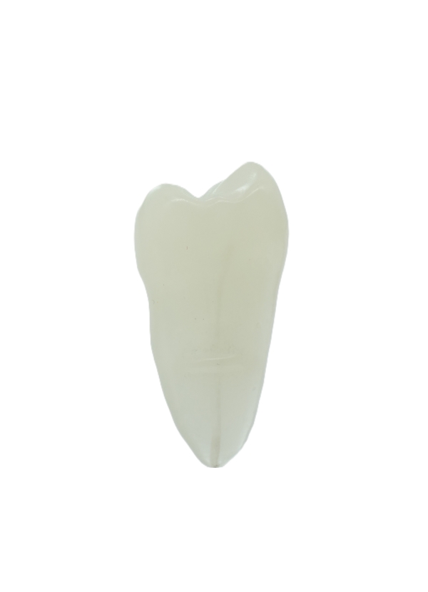 EndoPrep® 15 Numara Opak Diş