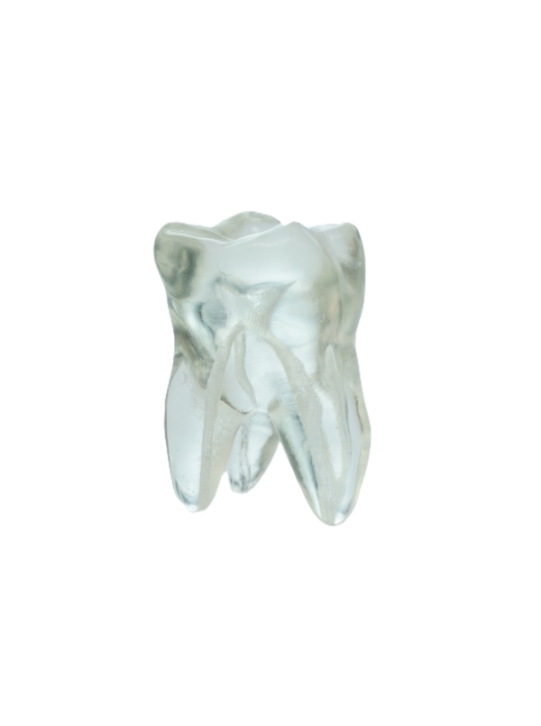 EndoPrep® 16 Numara Şeffaf Diş