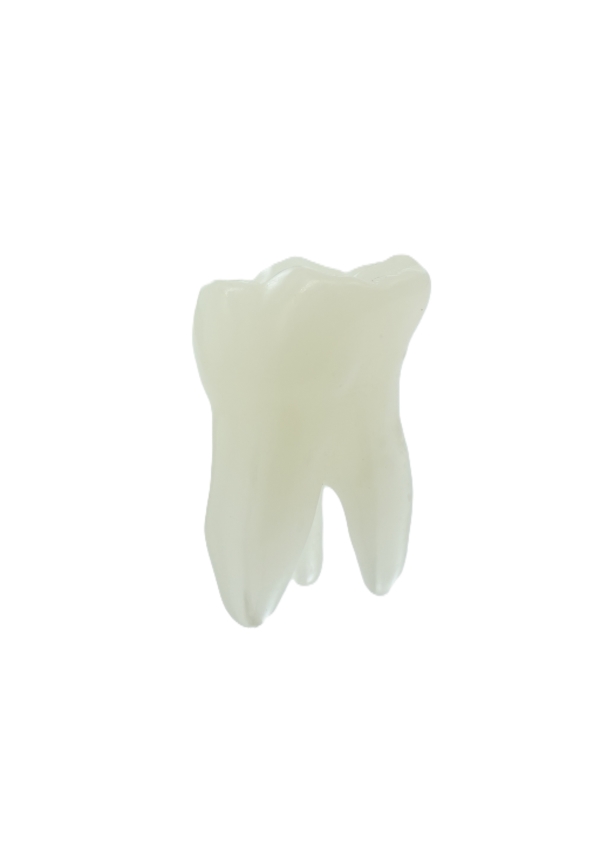 EndoPrep® 16 Numara Opak Diş