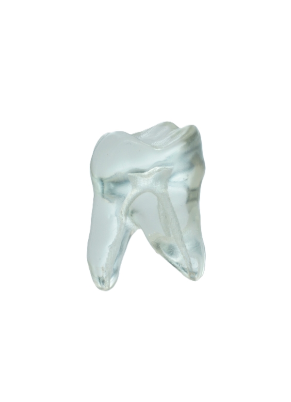 EndoPrep® 17 Numara Şeffaf Diş