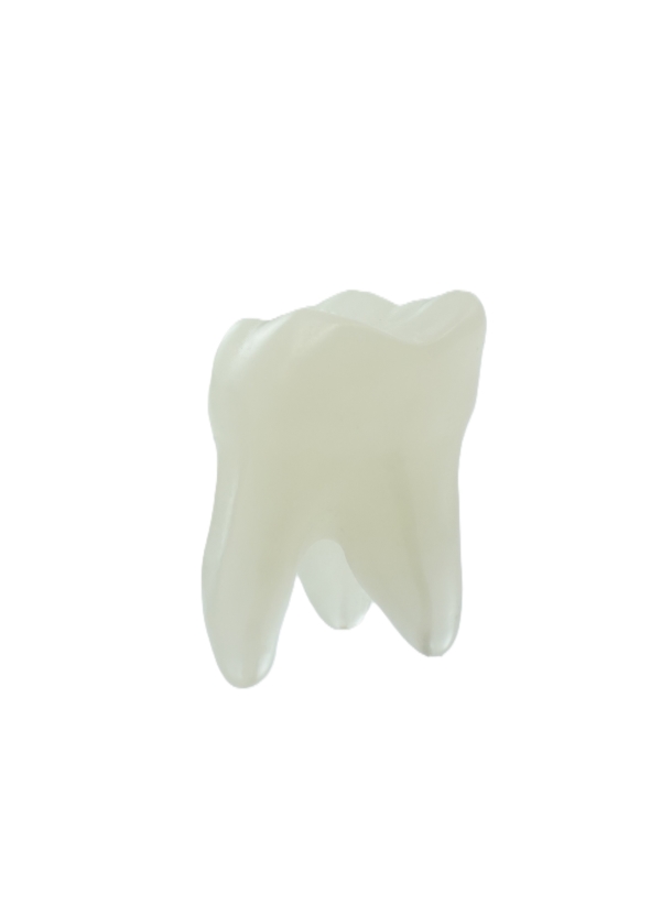 EndoPrep® 17 Numara Opak Diş