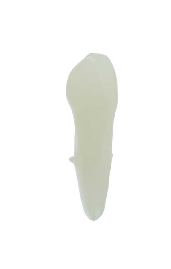EndoPrep® 23 Numara Opak Diş