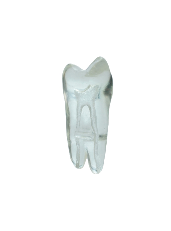 EndoPrep® 24 Numara Şeffaf Diş