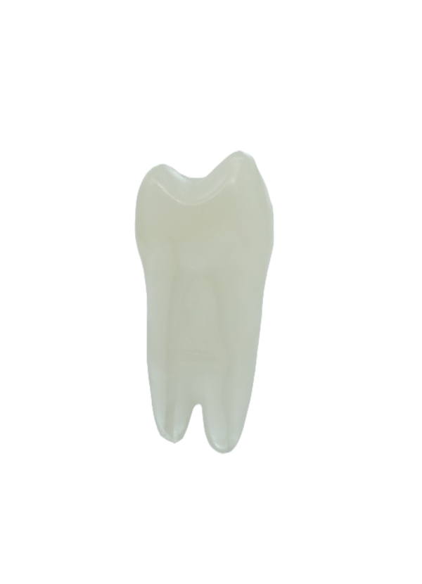 EndoPrep® 24 Numara Opak Diş