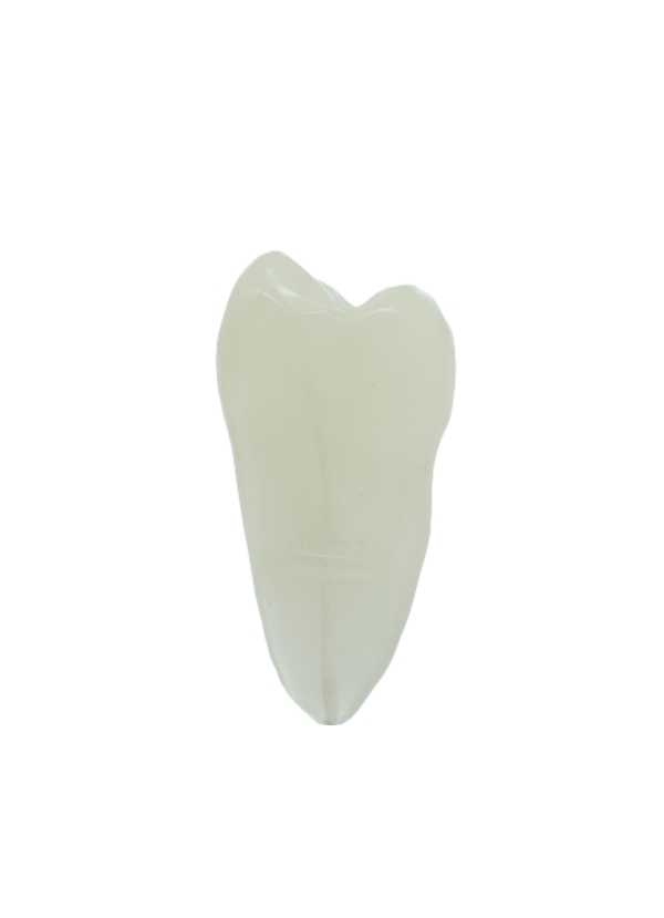 EndoPrep® 25 Numara Opak Diş