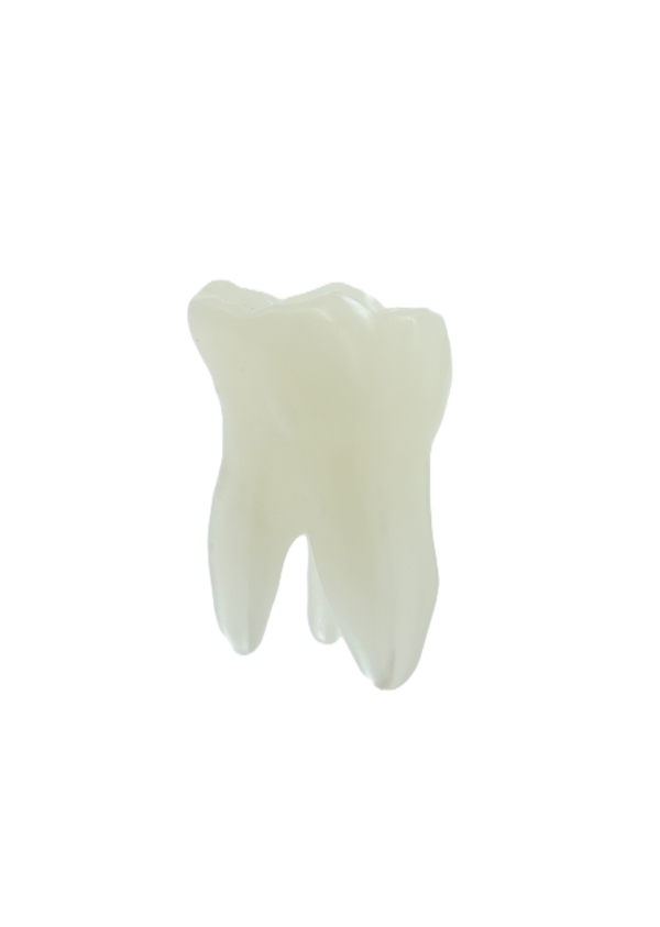 EndoPrep® 26 Numara Opak Diş