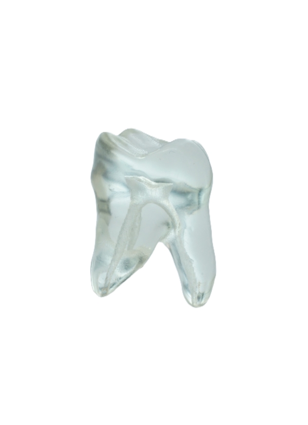 EndoPrep® 27 Numara Şeffaf Diş