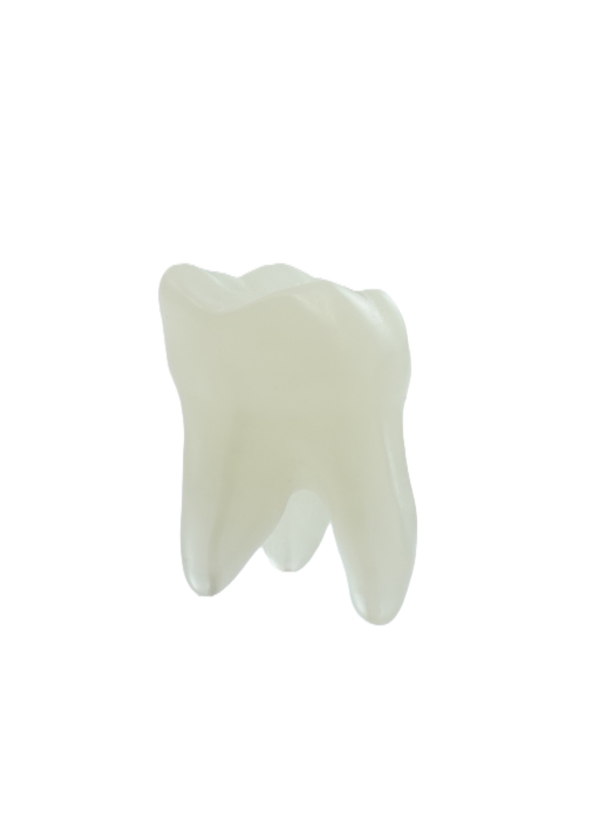 EndoPrep® 27 Numara Opak Diş