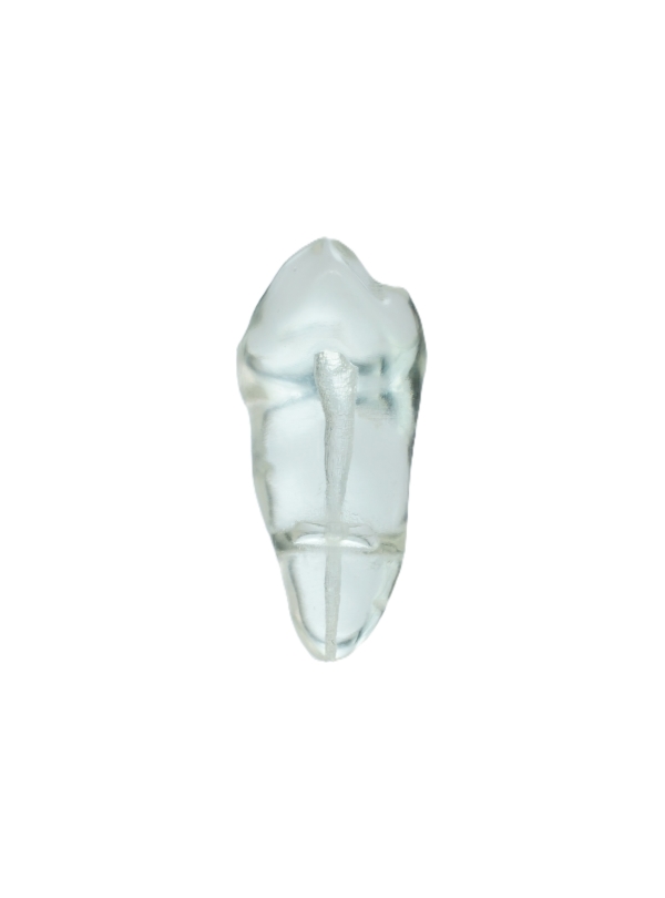 EndoPrep® 44 Numara Şeffaf Diş