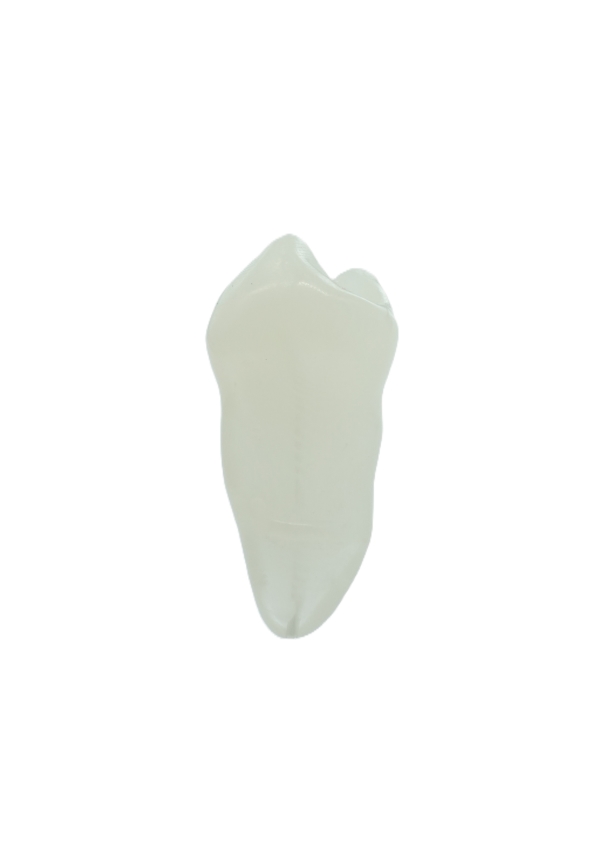 EndoPrep® 35 Numara Opak Diş
