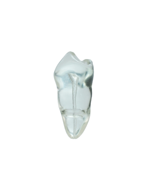 EndoPrep® 35 Numara Şeffaf Diş