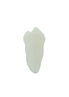 EndoPrep® 45 Numara Opak Diş