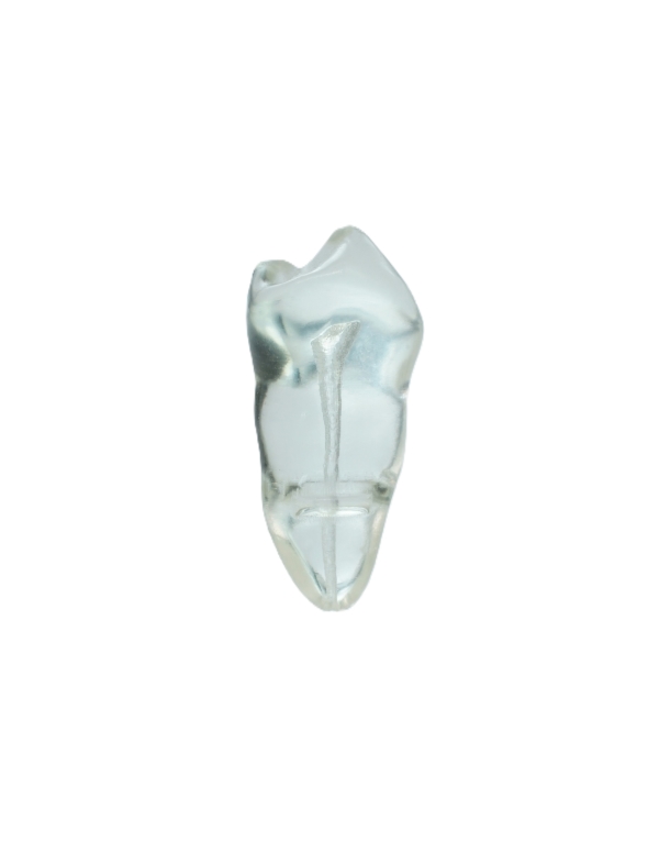 EndoPrep® 45 Numara Şeffaf Diş