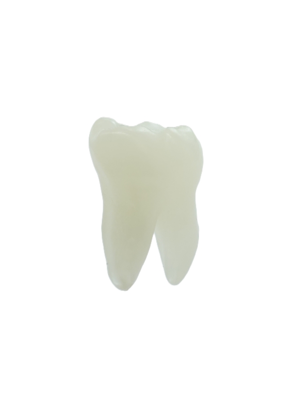 EndoPrep® 36 Numara Opak Diş