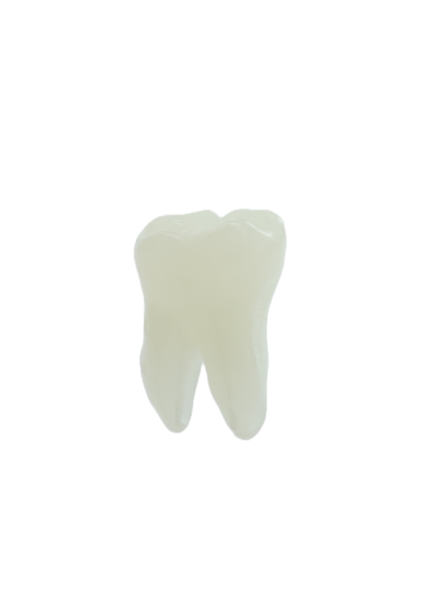 EndoPrep® 37 Numara Opak Diş