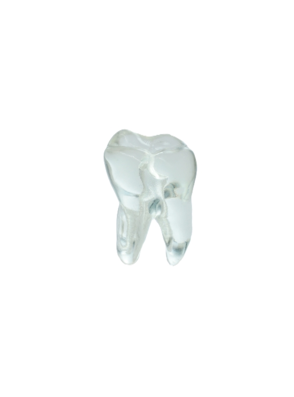 EndoPrep® 37 Numara Şeffaf Diş