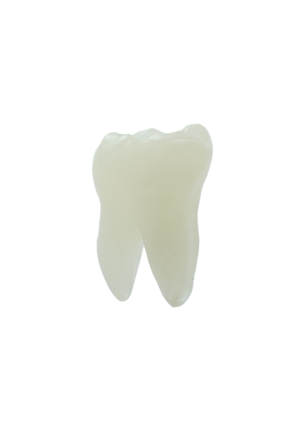 EndoPrep® 46 Numara Opak Diş