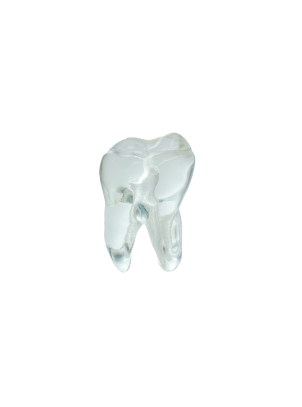 EndoPrep® 47 Numara Şeffaf Diş